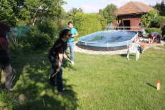 IMG_3736 (Large)