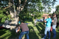 IMG_3750 (Large)