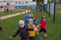 IMG_20210929_104705_1-1