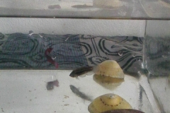 Image00004