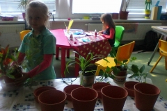 Image00005