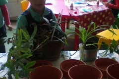 Image00006