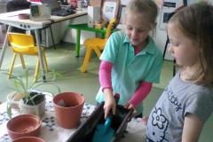 Image00008